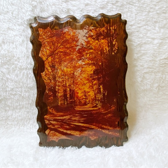 Vintage 70’s Groovy Wood Lacquered Woods Forrest Image Wall Hanging Plaque - Picture 9 of 11